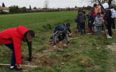 Les jeunes Salvetains s’engagent pour la biodiversité