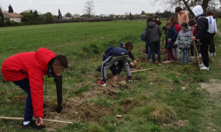 Les jeunes Salvetains s’engagent pour la biodiversité